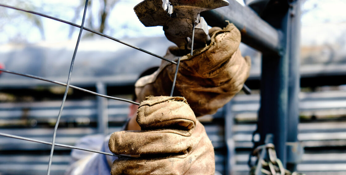 Hog RIngs for Fencing