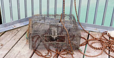 A crab pot lays on a deck with ropes