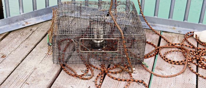 A crab pot lays on a deck with ropes